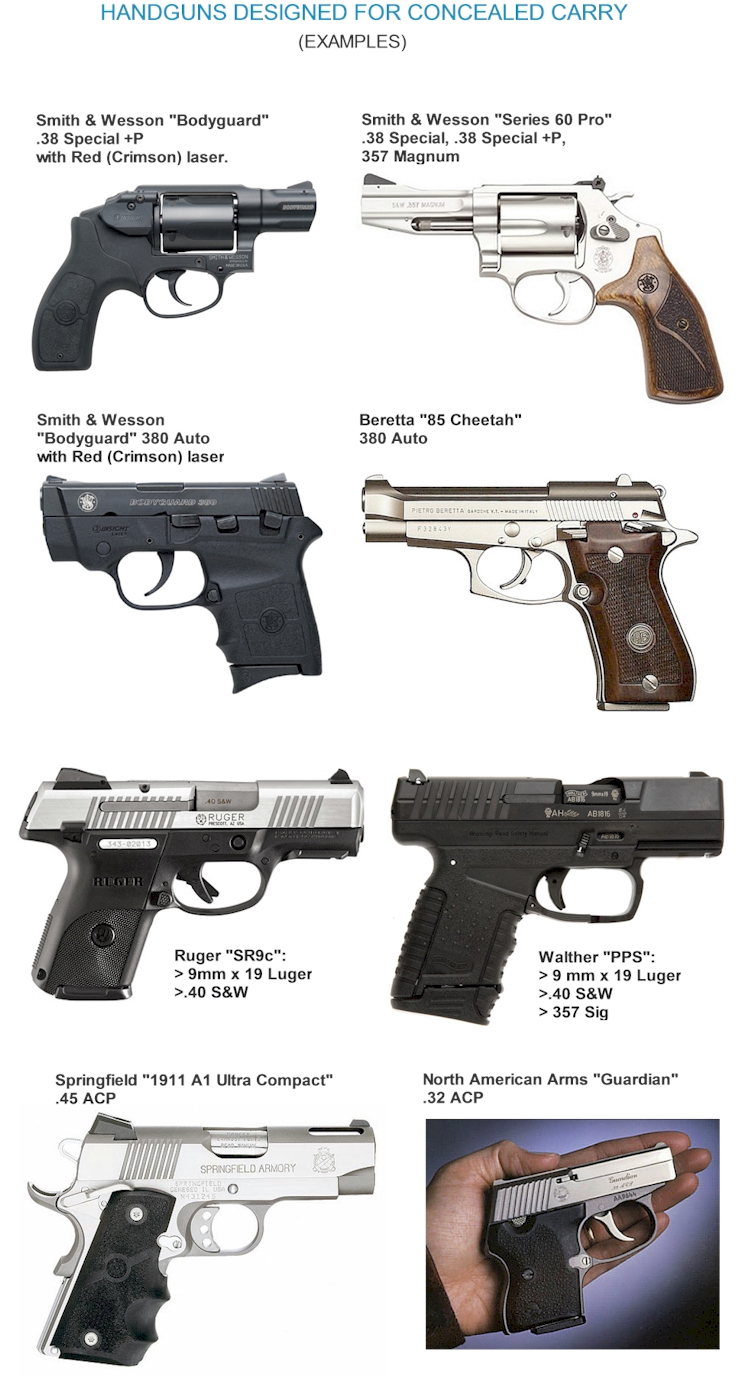 different types of guns