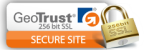 GeoTrust Icon